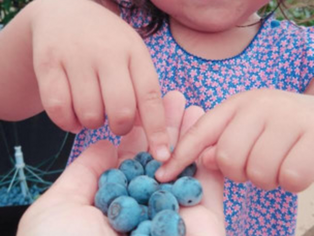 �܌��ʎ���