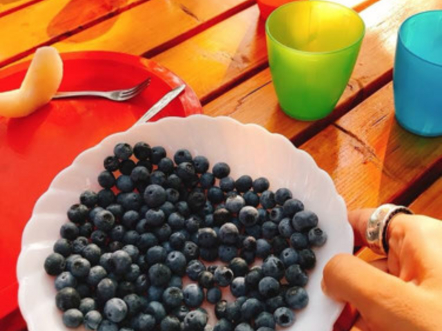 �܌��ʎ���