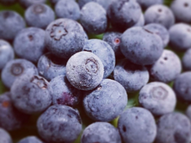 �܌��ʎ���