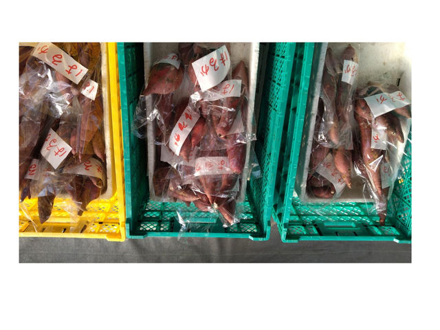 ���܂���_�������_��