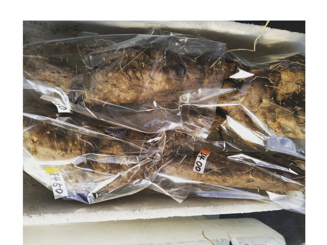 ��a��_�������_��