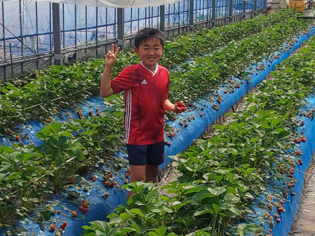 �S��������