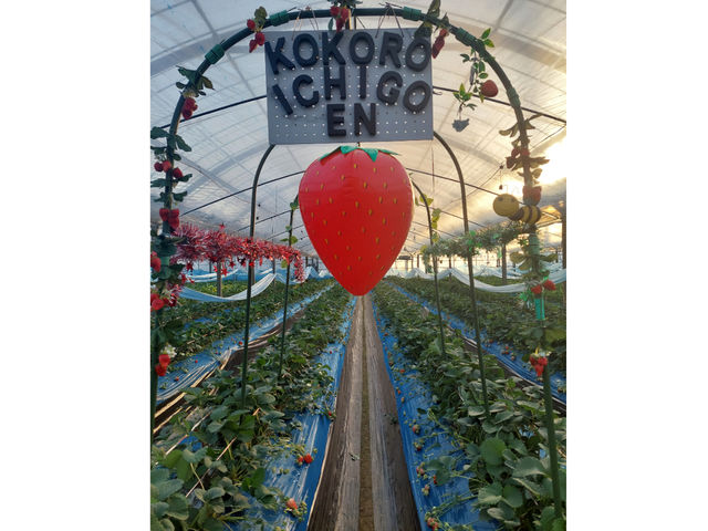 �S��������