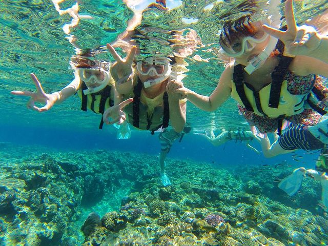 ����}�����X�|�[�c�@Aqua-Pro