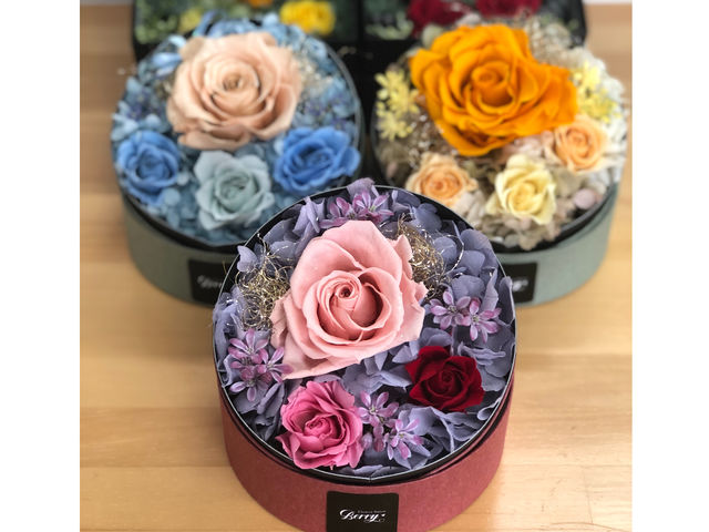 ����VOLVOBOX�t�����[_�t�����[�T�����x���[