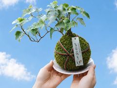 フラワーショップ 花工房の写真1
