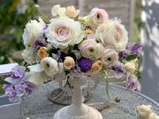 Miu Flower School �����Z�E�V�h�̎ʐ^3