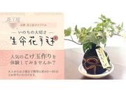 �t�����[�V���b�v�@�ԍH�[�̎ʐ^2