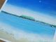 海のpastel simbaの写真4