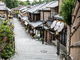 京都の自然歴史体験　センス・オブ・ワンダー京都の写真4