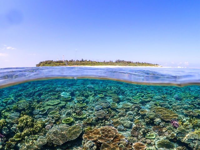 �J���t���ȃT���S�B���F��������o�}����_���x���e�_�C�r���O�T�[�r�X���ƂԓX