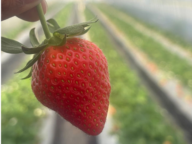 �ό�䕁@�R�鉀�@3��