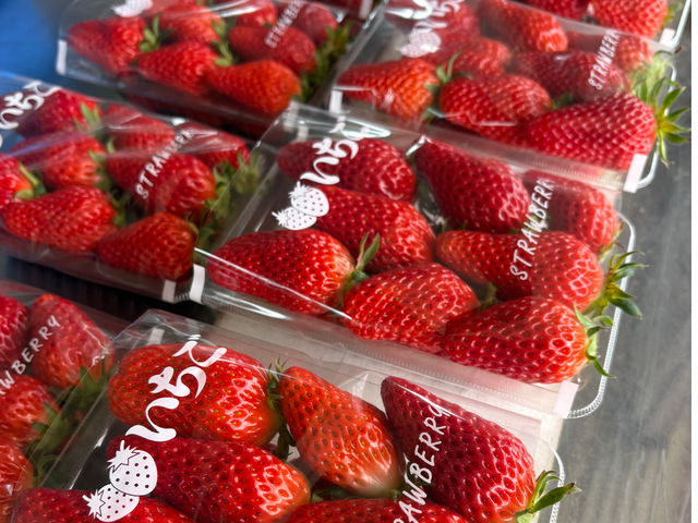 �ό�䕁@�R�鉀�@3��