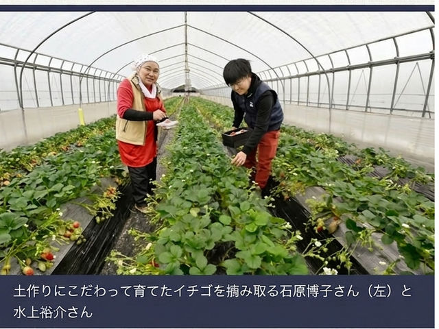 �ό�䕁@�R�鉀�@3��