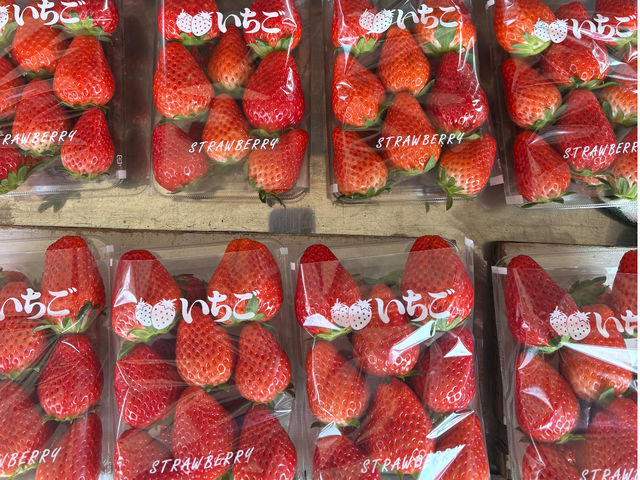 �ό�䕁@�R�鉀�@3��