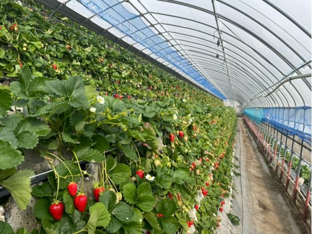 �v�\�R�Ί_�������͔|�a���̉Ɩ�����\��N�n�� ��g��������