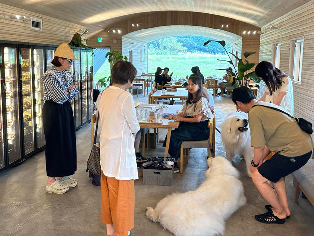 �J�t�F�V�[��_�x�m�R���C�i���[