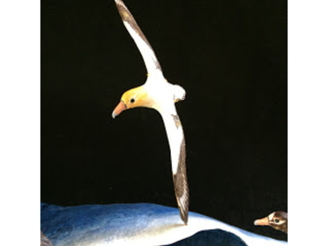 �C�̏�����󂷂�A�z�E�h���ł��B�~�j�`���A�ł��B_����ނ�H�[