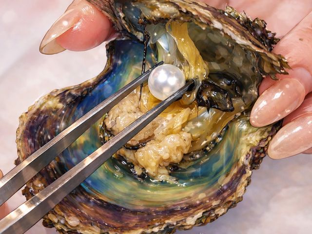 ���ꂱ�������I���O�͂������A����̕�������ꂽ�����ȃp�[�c��g�ݍ��킹�ăI���W�i���L�[�z���_�[���I���s�[�^�[���o�I_�̌��H�[ �X�^�[�����h