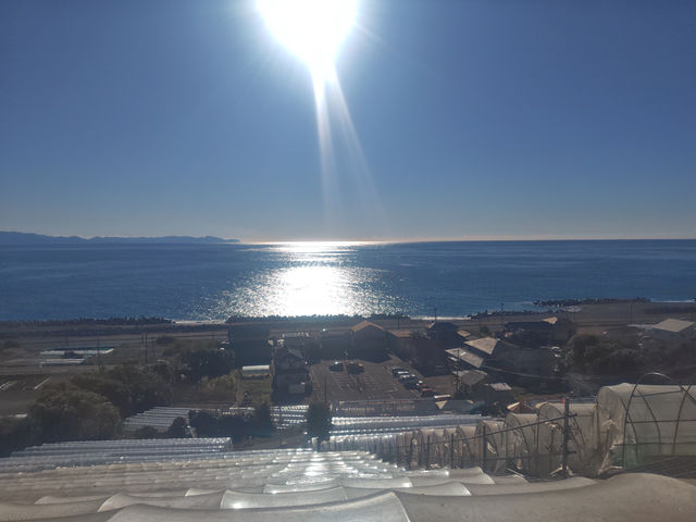 �����_��