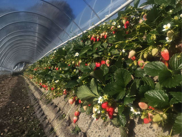 �`���I��  �Ί_�������I_�����_��