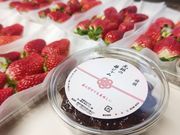 v\RΊ_͔|ảƖ\Nn g̎ʐ^2