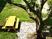 木の工房 楽樹 予約 アクセス 割引クーポン じゃらんnet