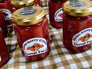 �㐙�_���̎ʐ^3