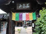 脉���V�̎ʐ^1