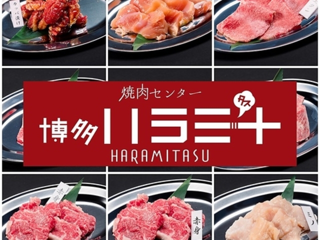 ēZ^[  n~+ HARAMITASU̎ʐ^1