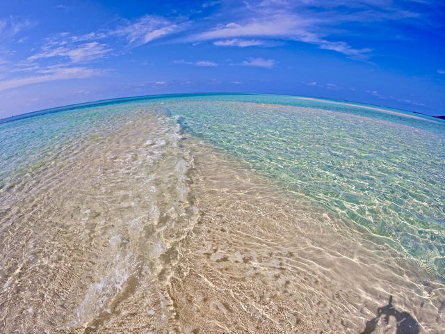 �{�Ó��̃T���h�o�[_�n�b�s�[�A�C�����h�{��