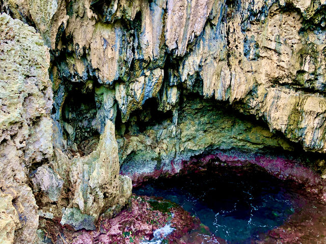 ����_�n�b�s�[�A�C�����h�{��