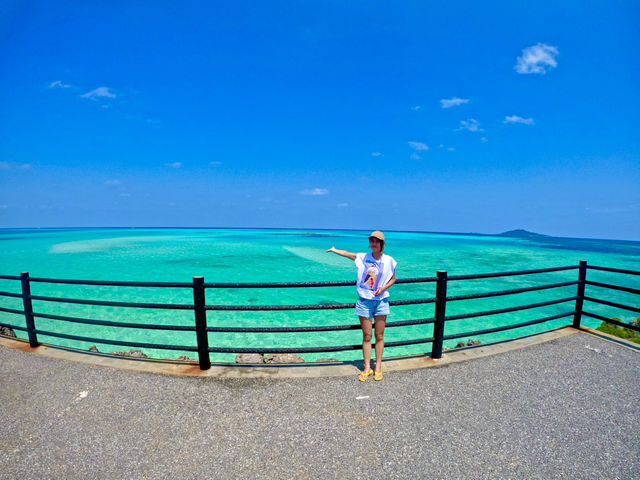 �f���|�C���g�ł��I_�n�b�s�[�A�C�����h�{��