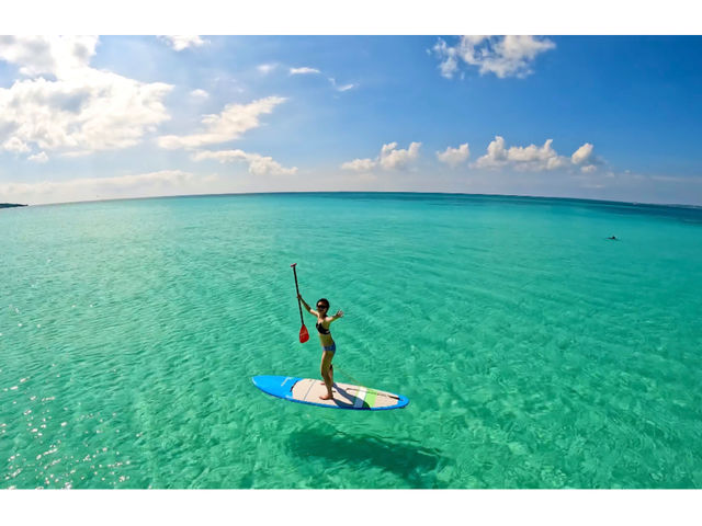 �����x���n���p����܂���B_�n�b�s�[�A�C�����h�{��