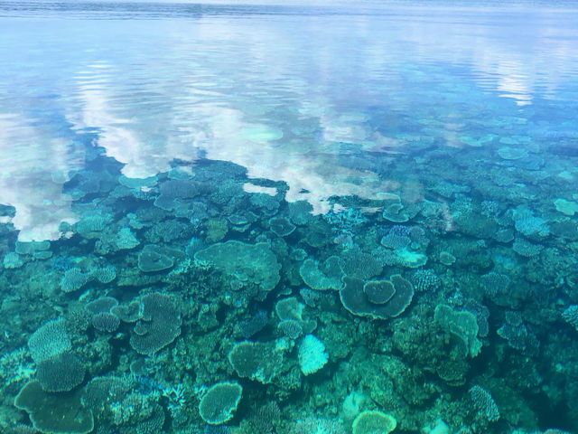 �R���f�B�V�����ō����͈ꐶ�̎v���o�ɂȂ�܂���I�j���Ȃ��Ă��������y���߂Ă��܂���ł�������I�I�I��_�Ί_���}�����K�C�h ���炳��