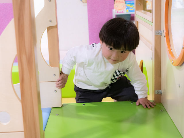 �x�j�[�p�[�N�F0〜2�΃X�y�[�X�ɂ�����{�ő勉�̖ؐ��V��ŗV�񂶂Ⴈ����_�n�s�s�����h ���O�[�i���S�X