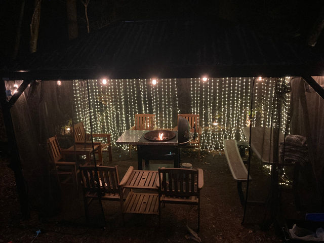 mBBQ{݁ñJ[eŌzIłBJVł̂ővłB_ ጎ