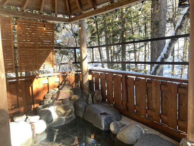 ���� �ጎ��