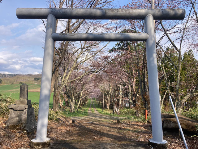 �䉀�_��_�����t�@�[��