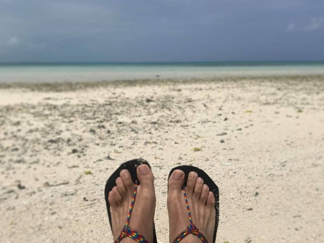 �����Ö��ƗV�ъ�