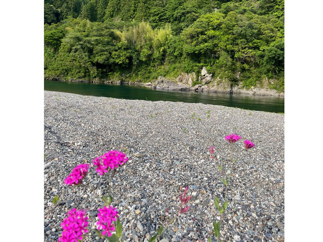 �Y����Ȃ��i�F��ڂ̓�����ɂ��邱�ƂɂȂ�܂��I_�m����SUP��UP