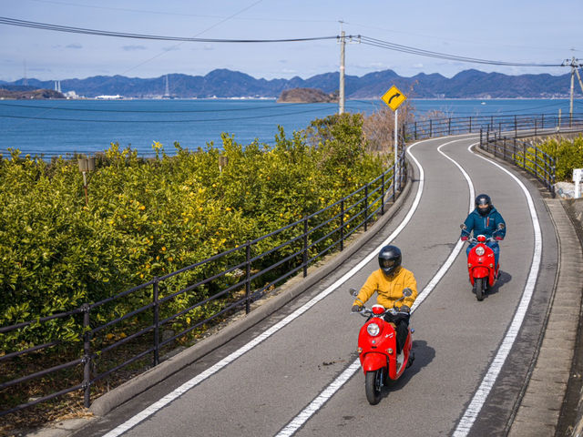 ���ڂɌ��Ă����킢���ł��B_�����C�_�[