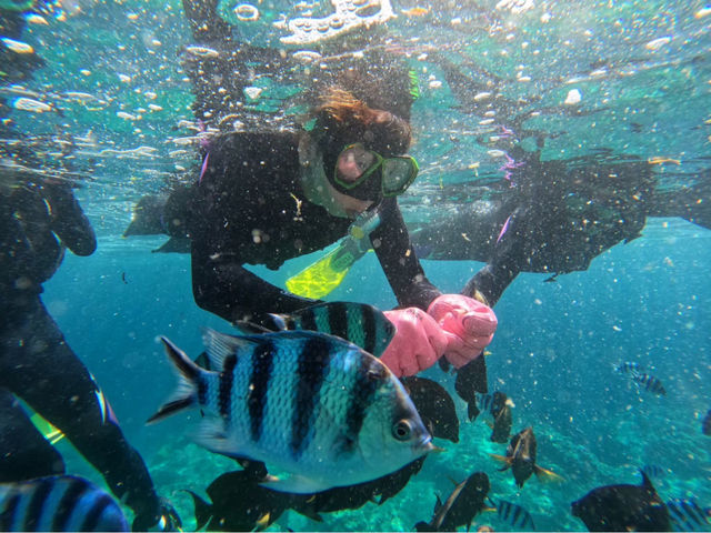 �񌻎��I�ł��I_�}�����{�b�N�X����