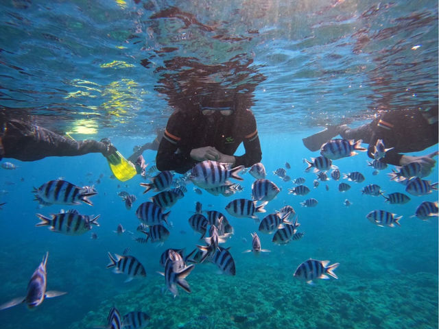 �������Ȃ�������I�I_�}�����{�b�N�X����