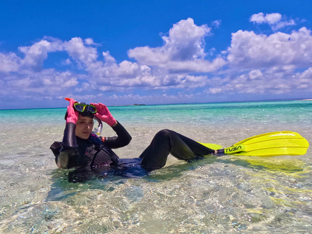 ���C�Ƒ��z��ῂ����`�I_�}�����{�b�N�X����