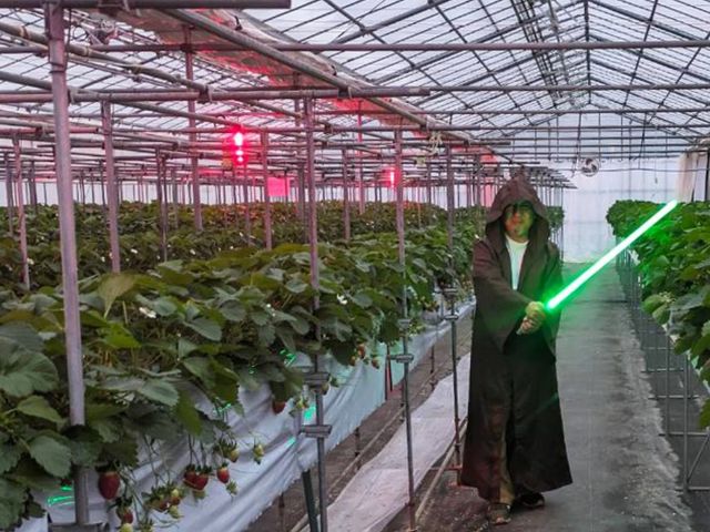 ���������̋k�_��