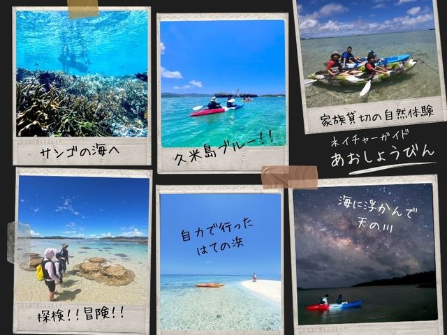 �����ł����ł��Ȃ��̌���_�l�C�`���[�K�C�h�c�A�[ �������傤�т�