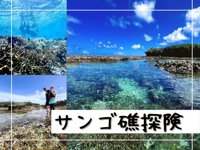 �l�C�`���[�K�C�h�c�A�[ �������傤�т�