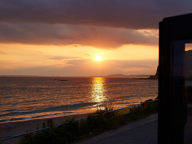 �����r�[�`_�䂤�� Sauna Cafe