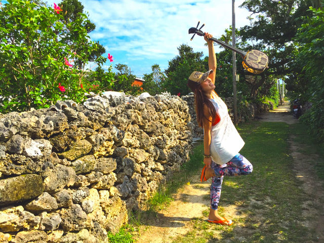 のどかな島風景。島内散策を楽しもう。_パナリ島観光